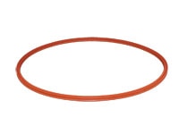 Gasket Chemiclave 6000