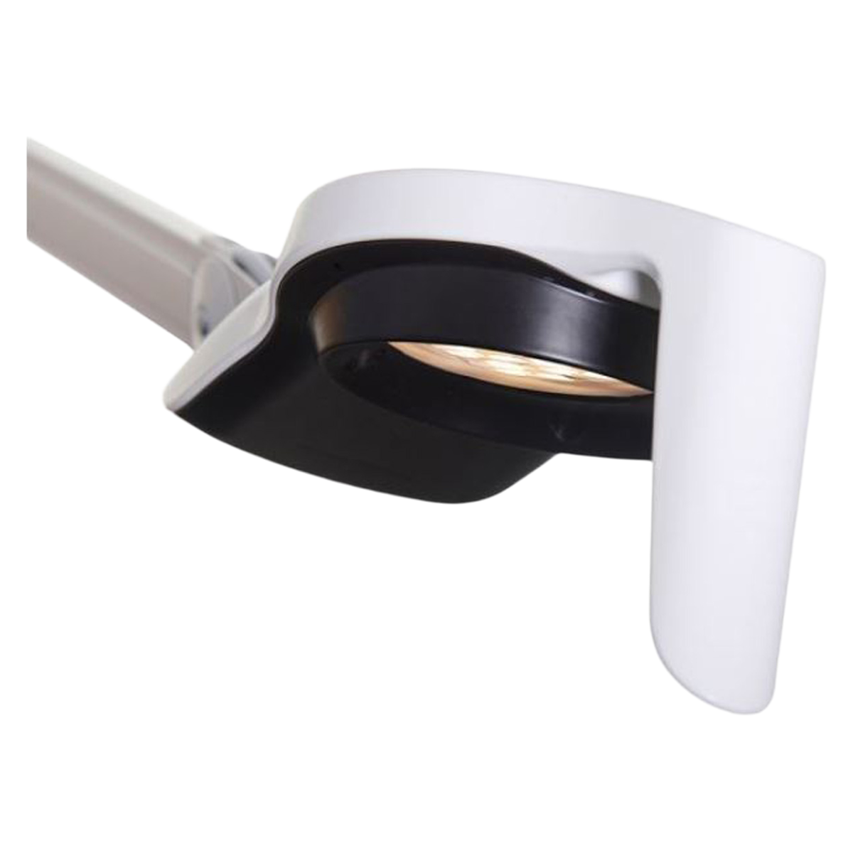 Lu Examination Light W/29