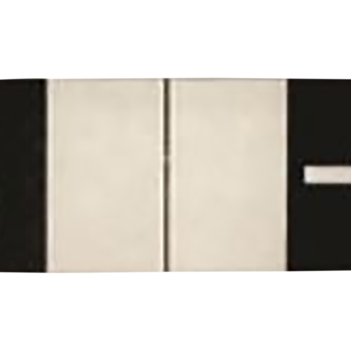 PSPIX2 Cleaning Plates