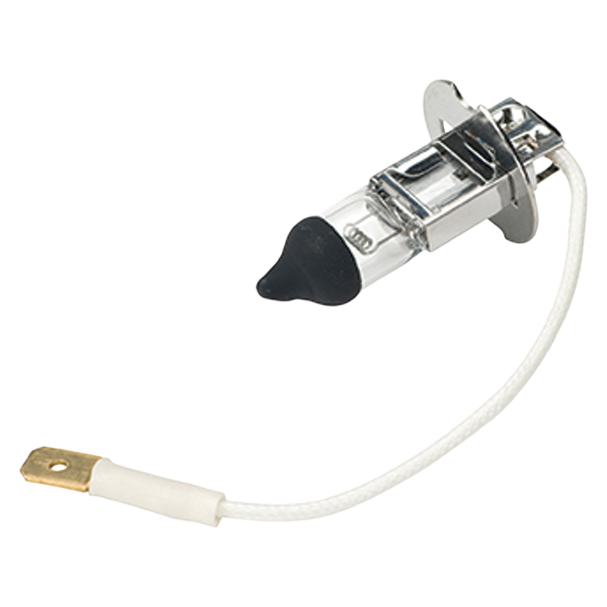 BMT CLESTA Bulb 24V 60W BL Tip