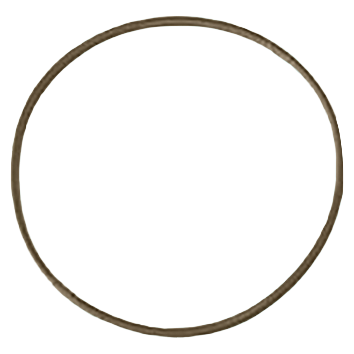 Chemiclave Door Gasket Model