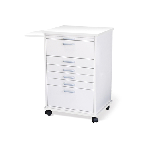 Assistant North Carolina Mobile Cart