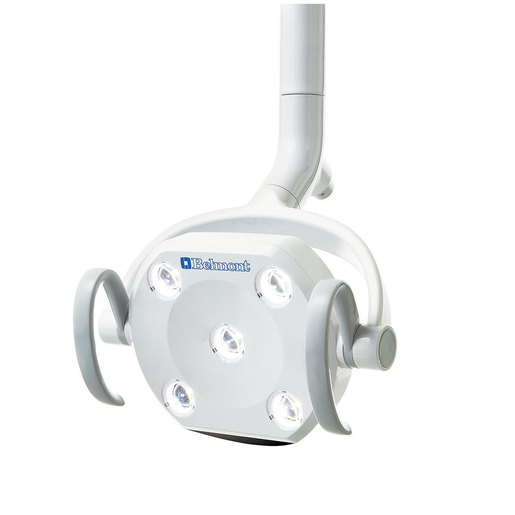 Clesta LED Light